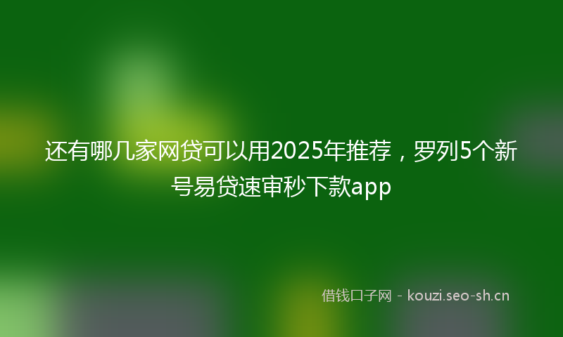 还有哪几家网贷可以用2025年推荐，罗列5个新号易贷速审秒下款app