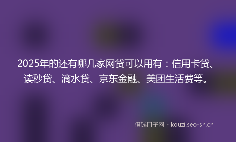 2025年的还有哪几家网贷可以用有：信用卡贷、读秒贷、滴水贷、京东金融、美团生活费等。