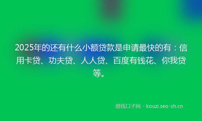 2025年的还有什么小额贷款是申请最快的有：信用卡贷、功夫贷、人人贷、百度有钱花、你我贷等。