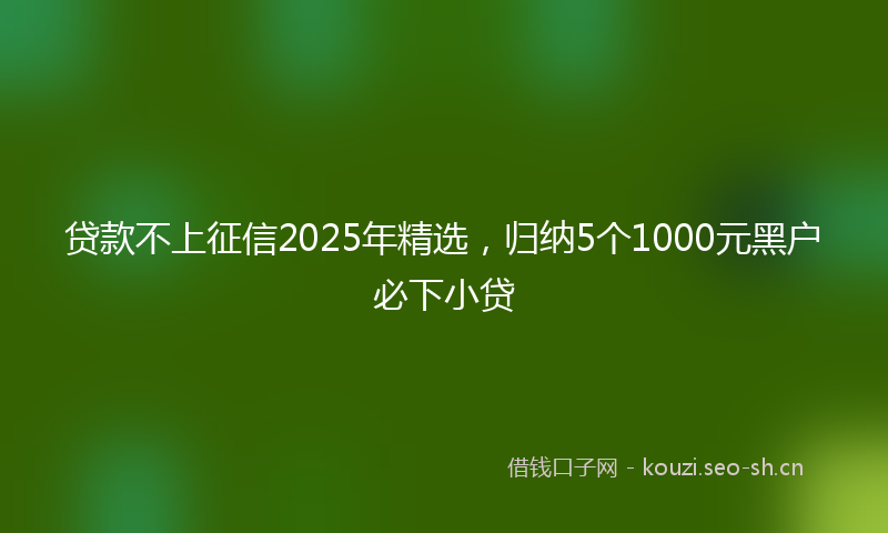 贷款不上征信2025年精选，归纳5个1000元黑户必下小贷