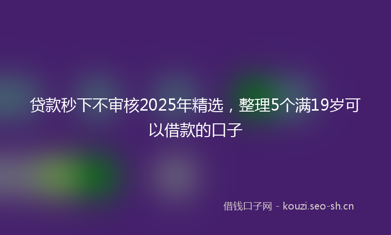 贷款秒下不审核2025年精选，整理5个满19岁可以借款的口子