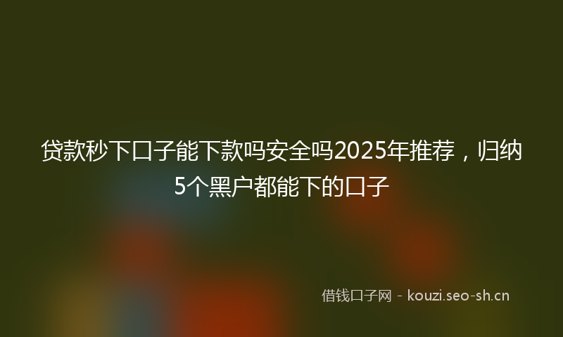 贷款秒下口子能下款吗安全吗2025年推荐，归纳5个黑户都能下的口子