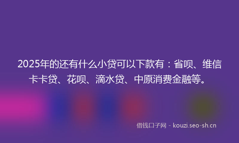 2025年的还有什么小贷可以下款有：省呗、维信卡卡贷、花呗、滴水贷、中原消费金融等。