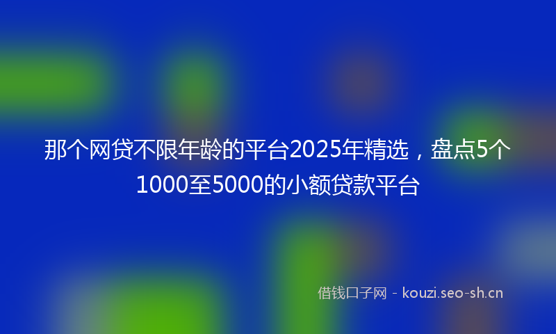 那个网贷不限年龄的平台2025年精选，盘点5个1000至5000的小额贷款平台