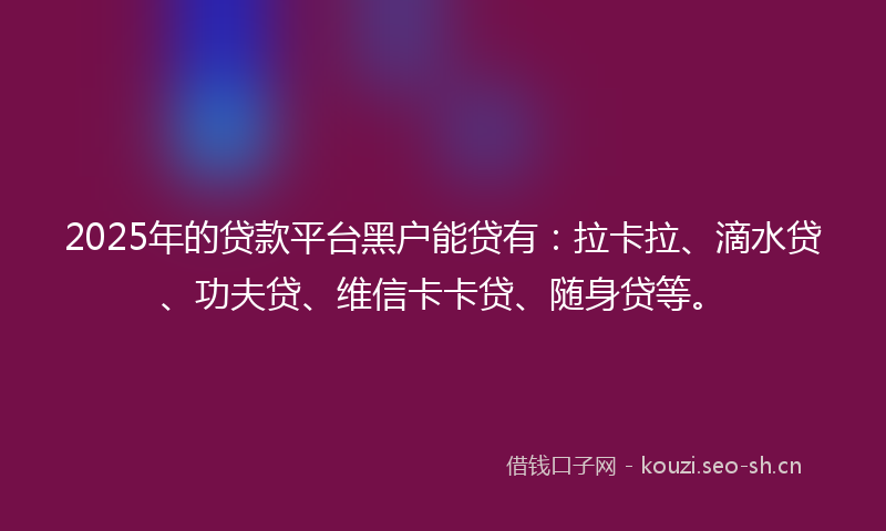 2025年的贷款平台黑户能贷有：拉卡拉、滴水贷、功夫贷、维信卡卡贷、随身贷等。