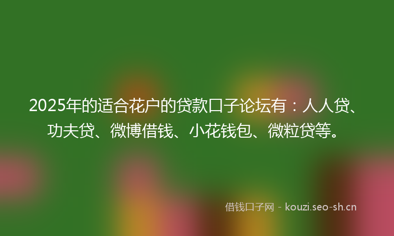 2025年的适合花户的贷款口子论坛有：人人贷、功夫贷、微博借钱、小花钱包、微粒贷等。