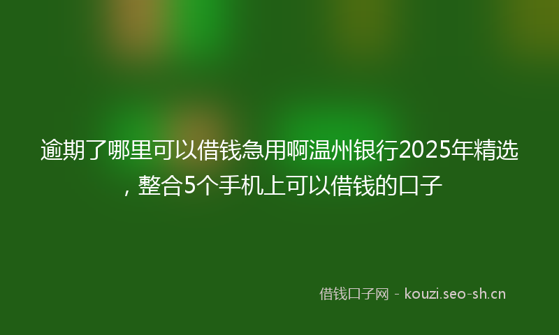 逾期了哪里可以借钱急用啊温州银行2025年精选,整合5个手机上可以借钱的口子