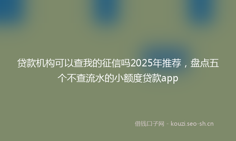 贷款机构可以查我的征信吗2025年推荐，盘点五个不查流水的小额度贷款app