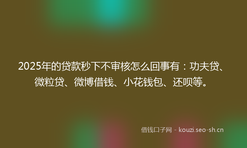 2025年的贷款秒下不审核怎么回事有：功夫贷、微粒贷、微博借钱、小花钱包、还呗等。