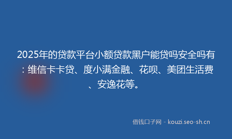 2025年的贷款平台小额贷款黑户能贷吗安全吗有：维信卡卡贷、度小满金融、花呗、美团生活费、安逸花等。