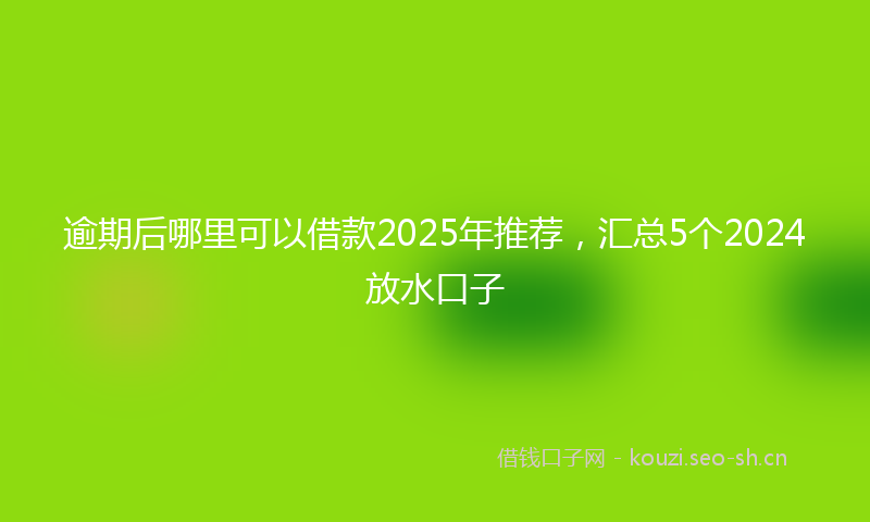 逾期后哪里可以借款2025年推荐，汇总5个2024放水口子