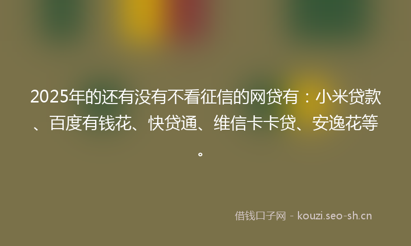 2025年的还有没有不看征信的网贷有：小米贷款、百度有钱花、快贷通、维信卡卡贷、安逸花等。