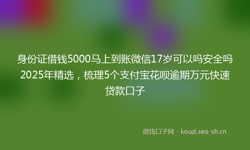 身份证借钱5000马上到账微信17岁可以吗安全吗2025年精选，梳理5个支付宝花呗逾期万元快速贷款口子