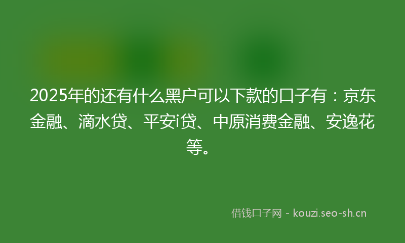2025年的还有什么黑户可以下款的口子有：京东金融、滴水贷、平安i贷、中原消费金融、安逸花等。