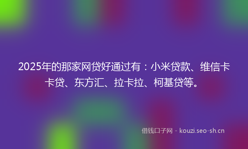 2025年的那家网贷好通过有：小米贷款、维信卡卡贷、东方汇、拉卡拉、柯基贷等。