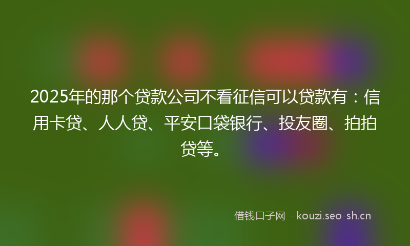 2025年的那个贷款公司不看征信可以贷款有:信用卡贷、人人贷、平安口袋银行、投友圈、拍拍贷等。