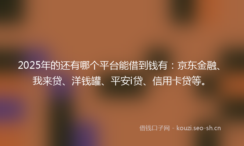 2025年的还有哪个平台能借到钱有：京东金融、我来贷、洋钱罐、平安i贷、信用卡贷等。