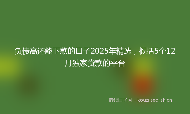 负债高还能下款的口子2025年精选，概括5个12月独家贷款的平台