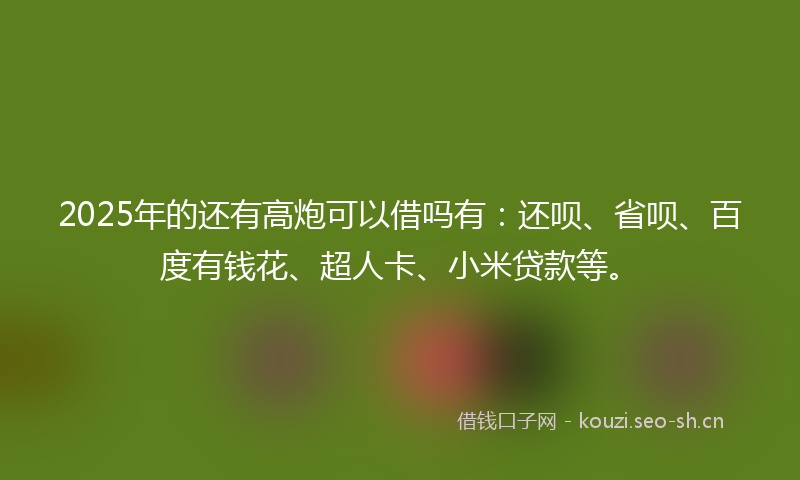 2025年的还有高炮可以借吗有:还呗、省呗、百度有钱花、超人卡、小米贷款等。