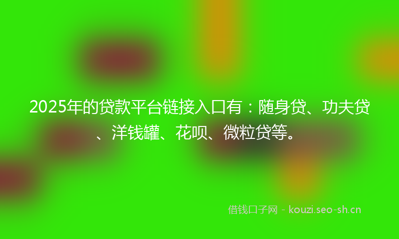2025年的贷款平台链接入口有：随身贷、功夫贷、洋钱罐、花呗、微粒贷等。