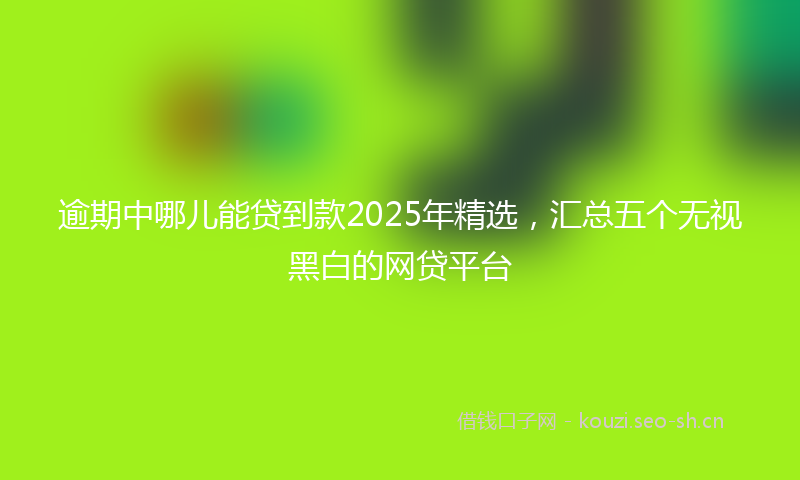 逾期中哪儿能贷到款2025年精选,汇总五个无视黑白的网贷平台