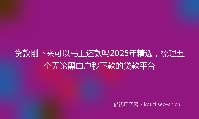 贷款刚下来可以马上还款吗2025年精选，梳理五个无论黑白户秒下款的贷款平台