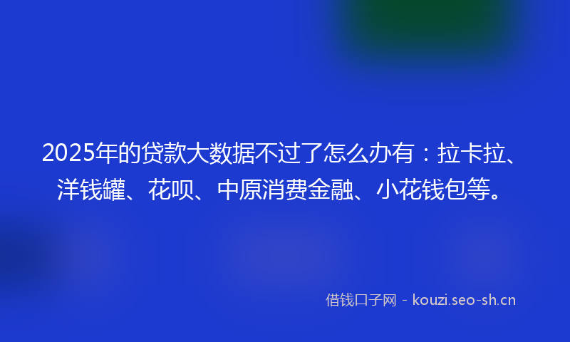 2025年的贷款大数据不过了怎么办有：拉卡拉、洋钱罐、花呗、中原消费金融、小花钱包等。