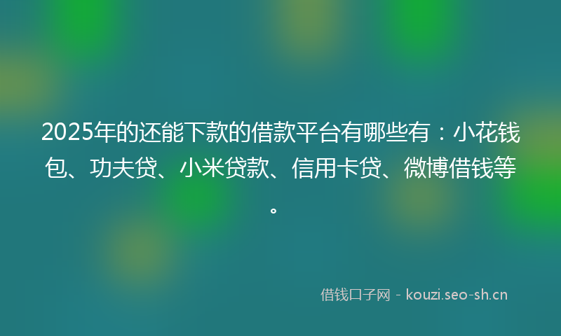 2025年的还能下款的借款平台有哪些有：小花钱包、功夫贷、小米贷款、信用卡贷、微博借钱等。
