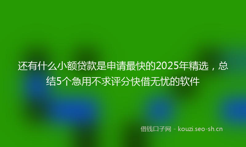 还有什么小额贷款是申请最快的2025年精选，总结5个急用不求评分快借无忧的软件