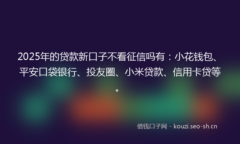 2025年的贷款新口子不看征信吗有：小花钱包、平安口袋银行、投友圈、小米贷款、信用卡贷等。