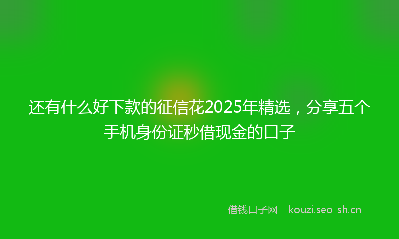 还有什么好下款的征信花2025年精选，分享五个手机身份证秒借现金的口子