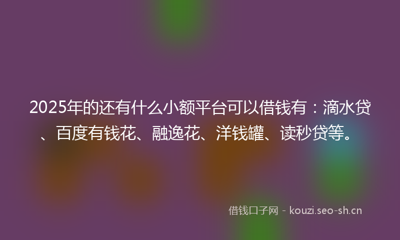 2025年的还有什么小额平台可以借钱有:滴水贷、百度有钱花、融逸花、洋钱罐、读秒贷等。