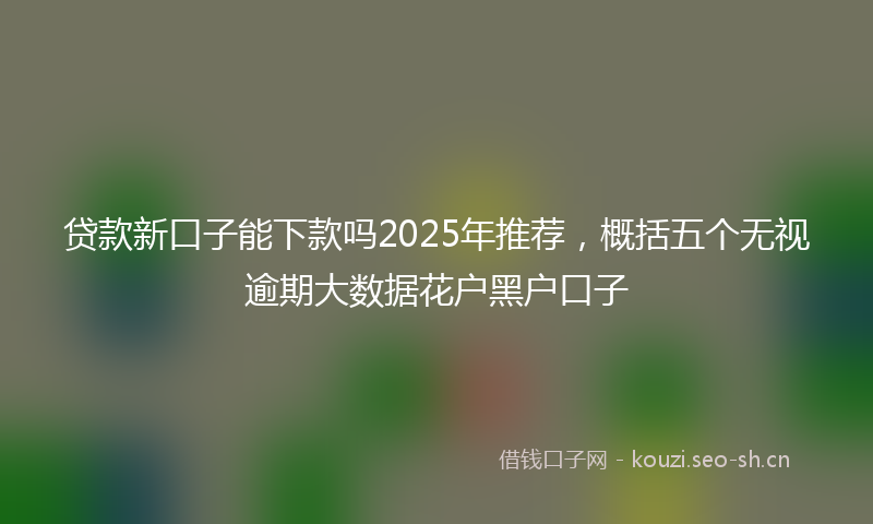贷款新口子能下款吗2025年推荐，概括五个无视逾期大数据花户黑户口子