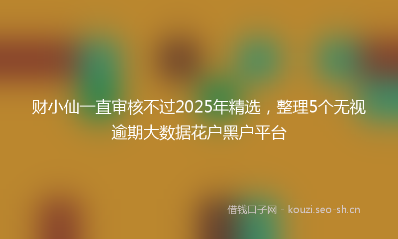 财小仙一直审核不过2025年精选，整理5个无视逾期大数据花户黑户平台