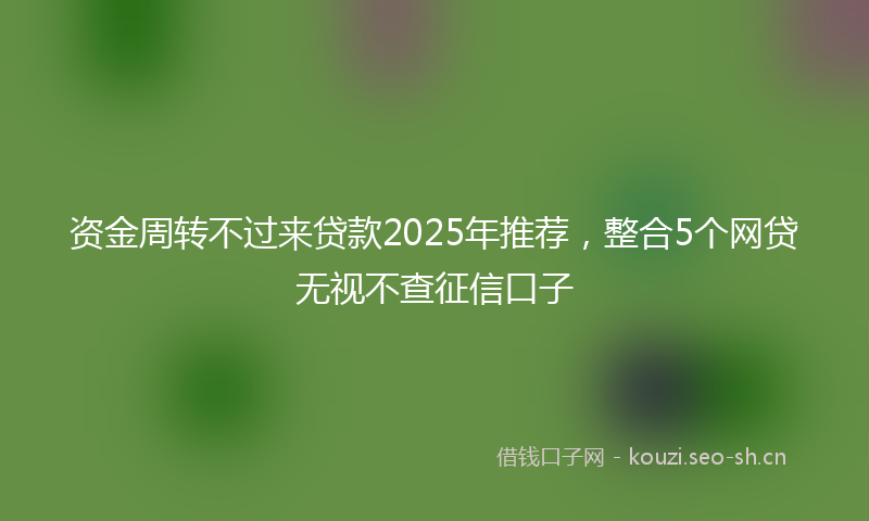 资金周转不过来贷款2025年推荐，整合5个网贷无视不查征信口子