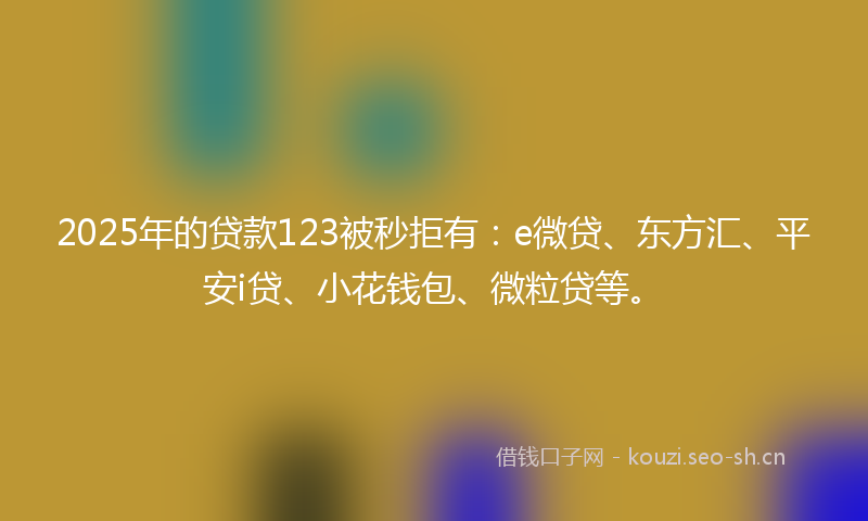 2025年的贷款123被秒拒有：e微贷、东方汇、平安i贷、小花钱包、微粒贷等。