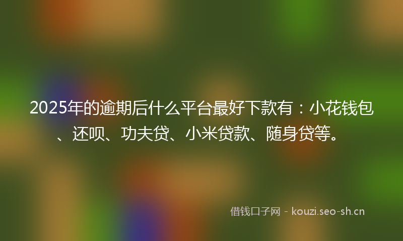 2025年的逾期后什么平台最好下款有:小花钱包、还呗、功夫贷、小米贷款、随身贷等。