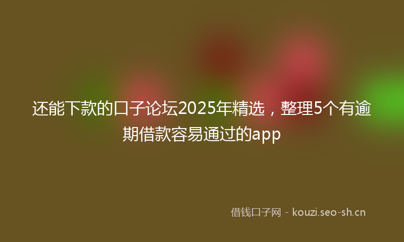 还能下款的口子论坛2025年精选,整理5个有逾期借款容易通过的app