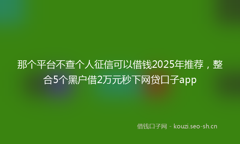 那个平台不查个人征信可以借钱2025年推荐，整合5个黑户借2万元秒下网贷口子app