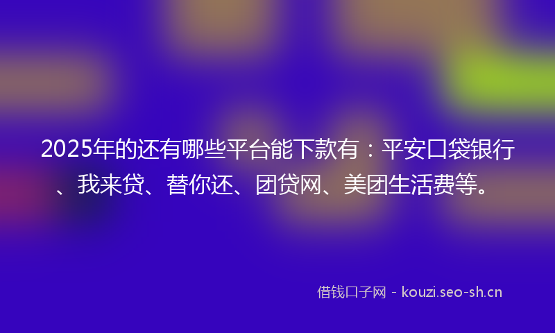 2025年的还有哪些平台能下款有：平安口袋银行、我来贷、替你还、团贷网、美团生活费等。
