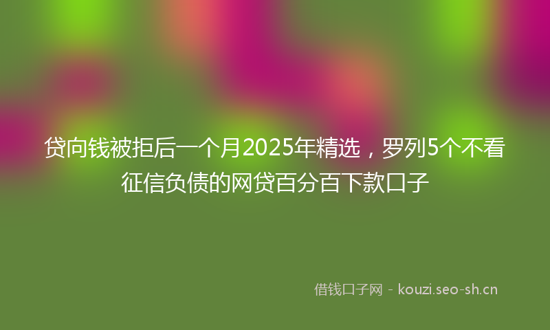 贷向钱被拒后一个月2025年精选，罗列5个不看征信负债的网贷百分百下款口子