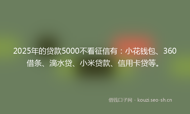 2025年的贷款5000不看征信有：小花钱包、360借条、滴水贷、小米贷款、信用卡贷等。
