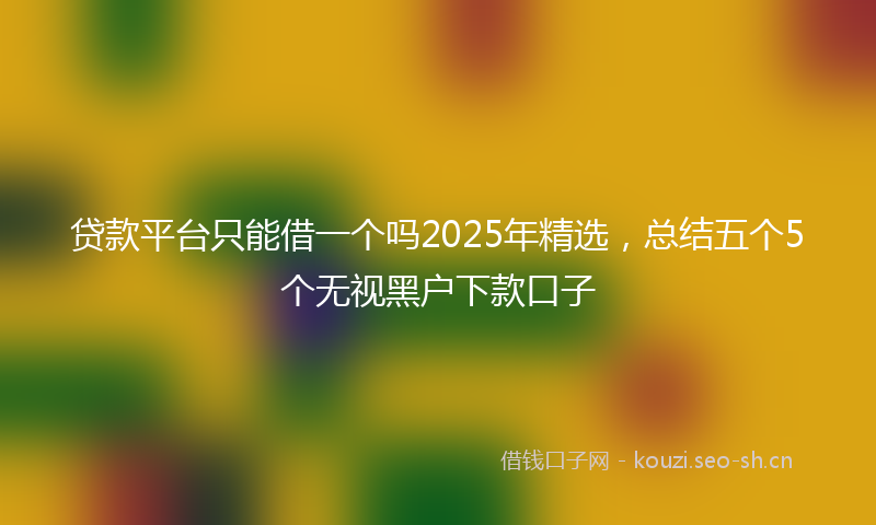 贷款平台只能借一个吗2025年精选，总结五个5个无视黑户下款口子