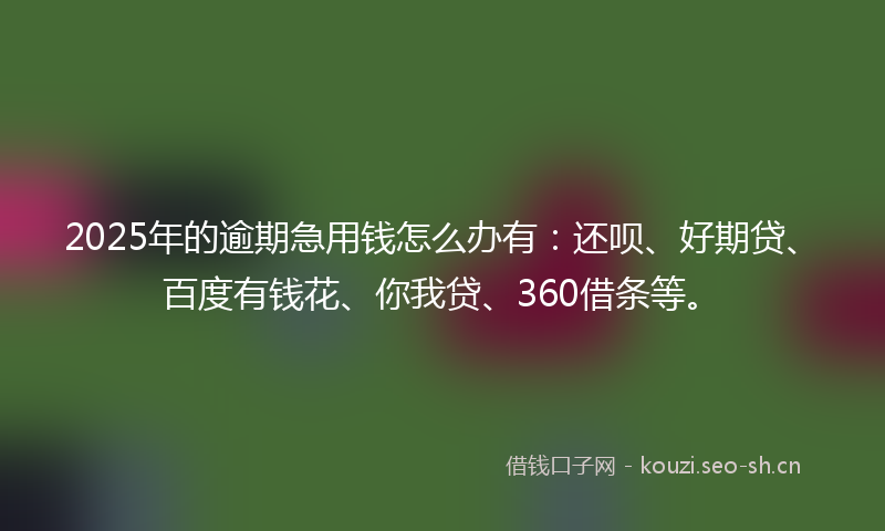 2025年的逾期急用钱怎么办有：还呗、好期贷、百度有钱花、你我贷、360借条等。