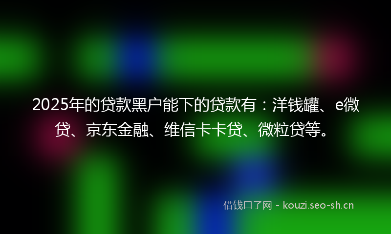 2025年的贷款黑户能下的贷款有：洋钱罐、e微贷、京东金融、维信卡卡贷、微粒贷等。
