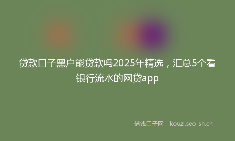贷款口子黑户能贷款吗2025年精选，汇总5个看银行流水的网贷app