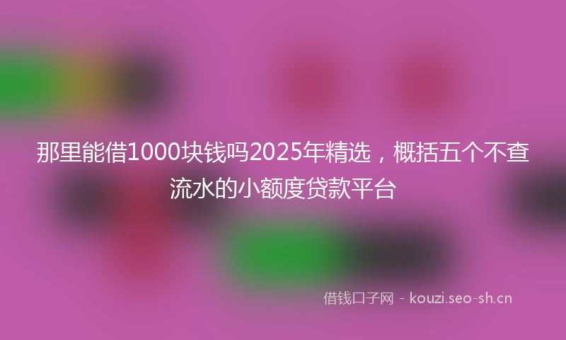 那里能借1000块钱吗2025年精选，概括五个不查流水的小额度贷款平台