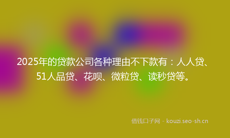 2025年的贷款公司各种理由不下款有：人人贷、51人品贷、花呗、微粒贷、读秒贷等。