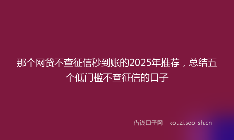 那个网贷不查征信秒到账的2025年推荐，总结五个低门槛不查征信的口子