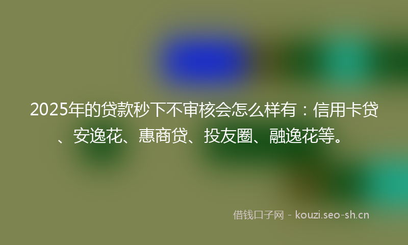 2025年的贷款秒下不审核会怎么样有：信用卡贷、安逸花、惠商贷、投友圈、融逸花等。